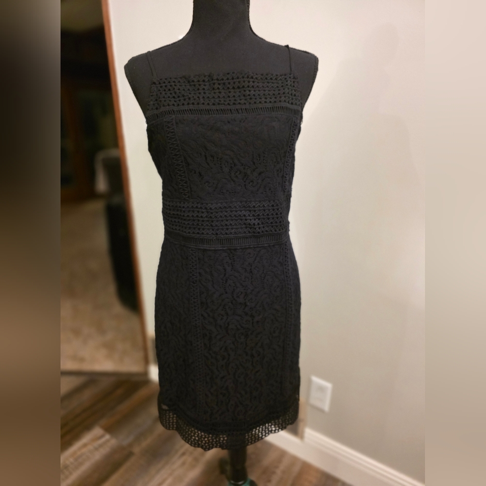 NWT Black Swan Elegant Black Lace Dress